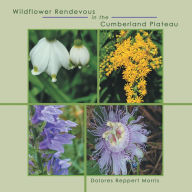 Title: Wildflower Rendevous in the Cumberland Plateau, Author: Dolores Reppert Morris