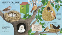 Alternative view 4 of One Little Egg: Exploring Nature for Curious Kids