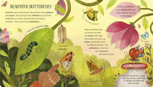 One Little Bug: Exploring Nature for Curious Kids
