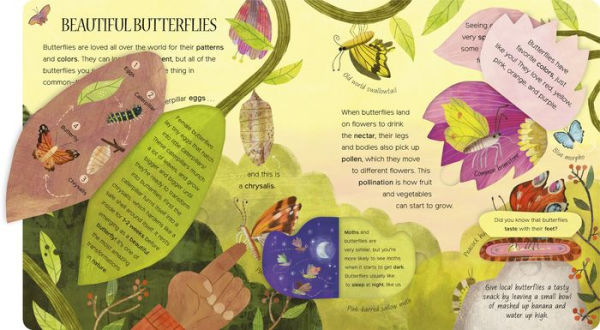 One Little Bug: Exploring Nature for Curious Kids