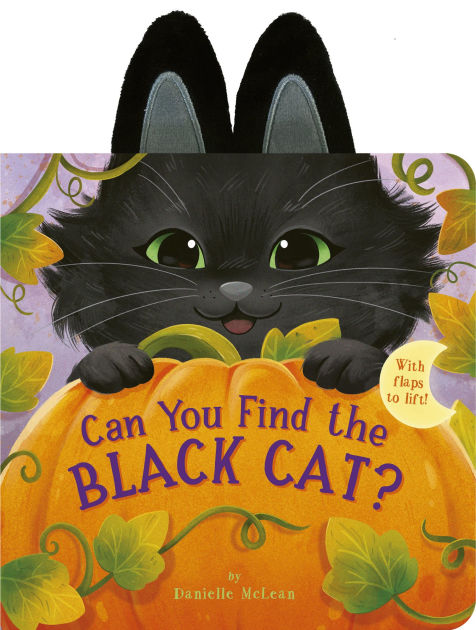 Can You Find the Black Cat?: With flaps to lift! by Danielle