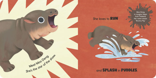 Moo Deng Says No!: The pygmy hippo internet sensation!