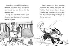 Alternative view 6 of Bo Hatches a Plan