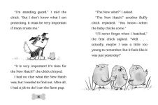 Alternative view 7 of Bo Hatches a Plan