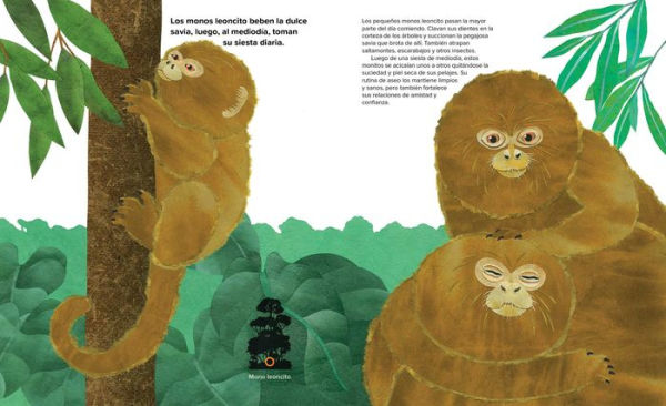 Catorce monos (Fourteen Monkeys): Un poema de la selva