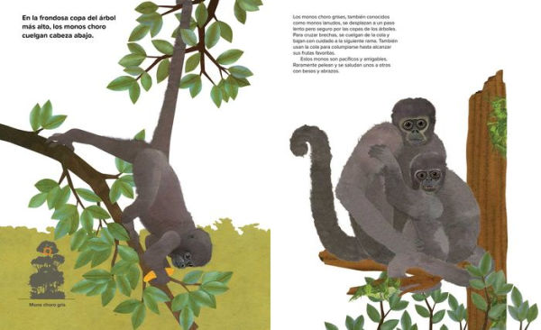 Catorce monos (Fourteen Monkeys): Un poema de la selva