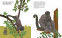 Alternative view 7 of Catorce monos (Fourteen Monkeys): Un poema de la selva