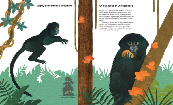 Catorce monos (Fourteen Monkeys): Un poema de la selva