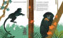 Alternative view 8 of Catorce monos (Fourteen Monkeys): Un poema de la selva