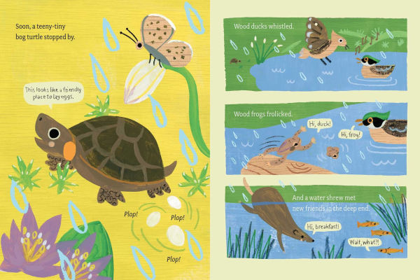 Bog Buddies