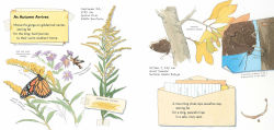 Alternative view 4 of Monarch and Mourning Cloak: A Butterfly Journal