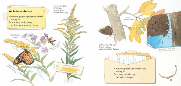 Monarch and Mourning Cloak: A Butterfly Journal