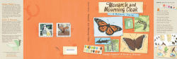 Alternative view 5 of Monarch and Mourning Cloak: A Butterfly Journal