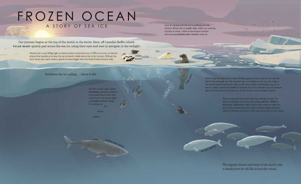 Our Frozen Planet
