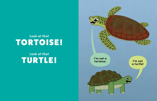 Pretty Close, but Not the Same: A Side-by-Side Look at Confusable Critters