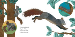 Alternative view 2 of Squirrels Leap, Squirrels Sleep