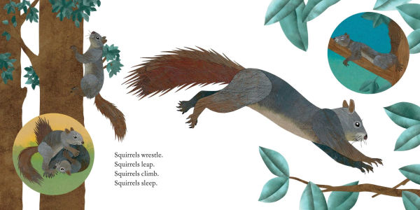 Squirrels Leap, Squirrels Sleep