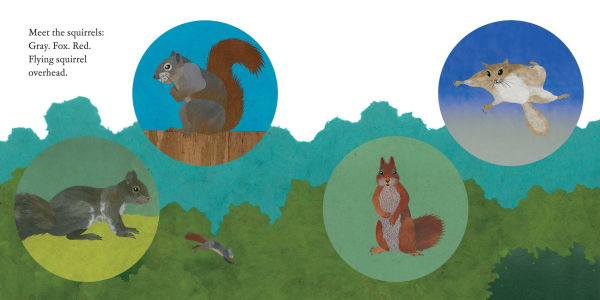 Squirrels Leap, Squirrels Sleep