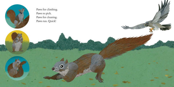 Squirrels Leap, Squirrels Sleep