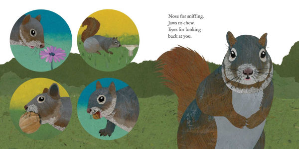 Squirrels Leap, Squirrels Sleep