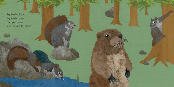 Squirrels Leap, Squirrels Sleep