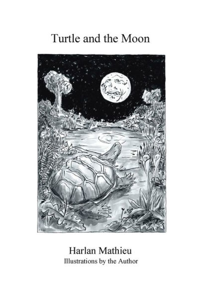 Turtle and the Moon