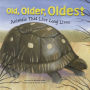 Old, Older, Oldest: Animals That Live Long Lives