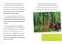 Alternative view 2 of Can You Survive Deadly Rain Forest Encounters?: An Interactive Wilderness Adventure