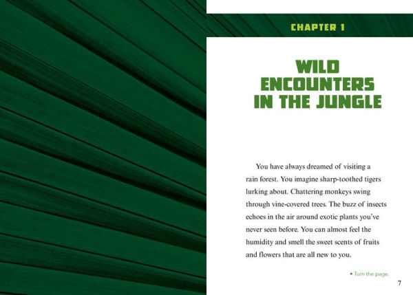 Can You Survive Deadly Rain Forest Encounters?: An Interactive Wilderness Adventure