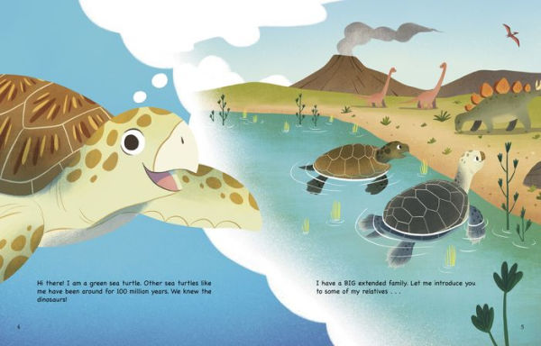 My Life as a Sea Turtle