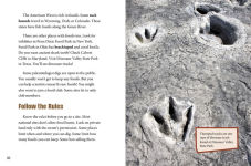 Alternative view 2 of Dig and Discover Fossils