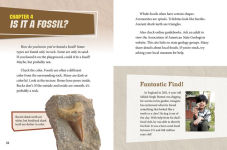 Alternative view 3 of Dig and Discover Fossils