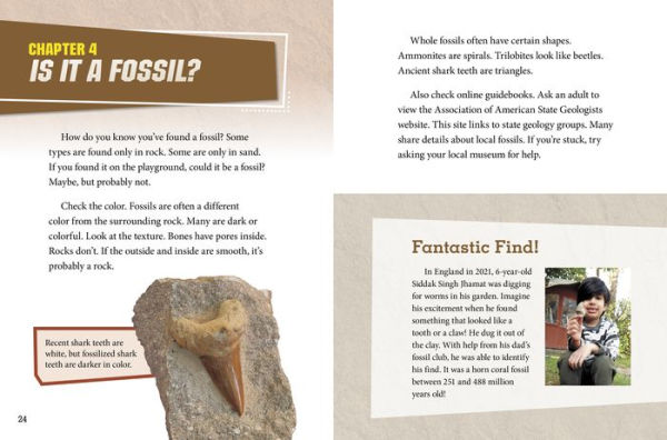 Dig and Discover Fossils