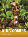 Alternative view 1 of King Cobras