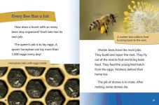 Alternative view 3 of Bee Queens: Rulers of the Hive