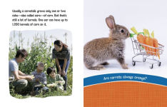 Alternative view 3 of Can You Climb a Beanstalk?: Questions and Answers About Farm Crops
