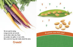 Alternative view 4 of Can You Climb a Beanstalk?: Questions and Answers About Farm Crops