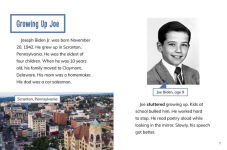 Alternative view 3 of Joe Biden