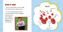 Alternative view 3 of Facing Your Fear of Blood