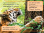 Alternative view 2 of Animal Planet All-Star Readers: Amazing Animal Families Level 1: Includes 4 Readers!