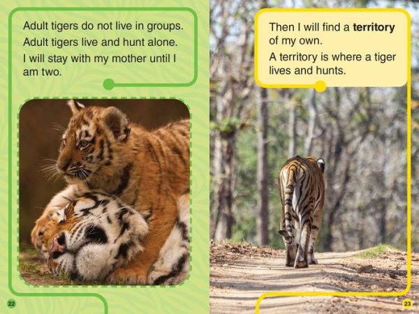 Animal Planet All-Star Readers: Amazing Animal Families Level 1: Includes 4 Readers!