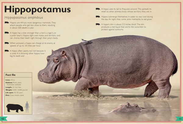 The Magnificent Book of Dangerous Animals
