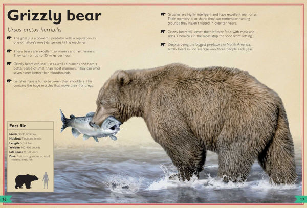 The Magnificent Book of Dangerous Animals