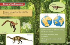 Alternative view 2 of Smithsonian Kids: DinoWorld Book and Magnetic Play Set