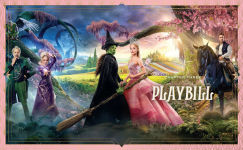 Alternative view 5 of Wicked Fan Book