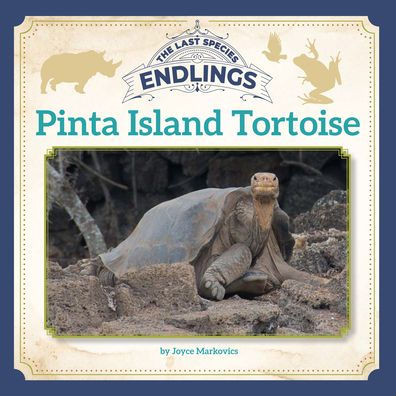 Pinta Island Tortoise