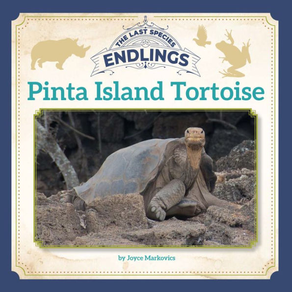 Pinta Island Tortoise