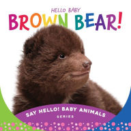 Title: Hello Baby Brown Bear!, Author: Beverly Rose