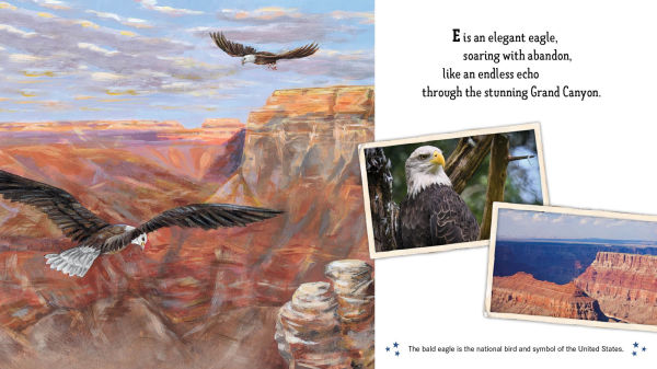 Land of the Free: America's ABC