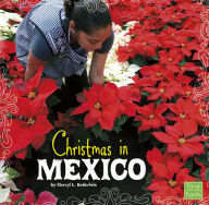 Title: Christmas in Mexico, Author: Cheryl L. Enderlein